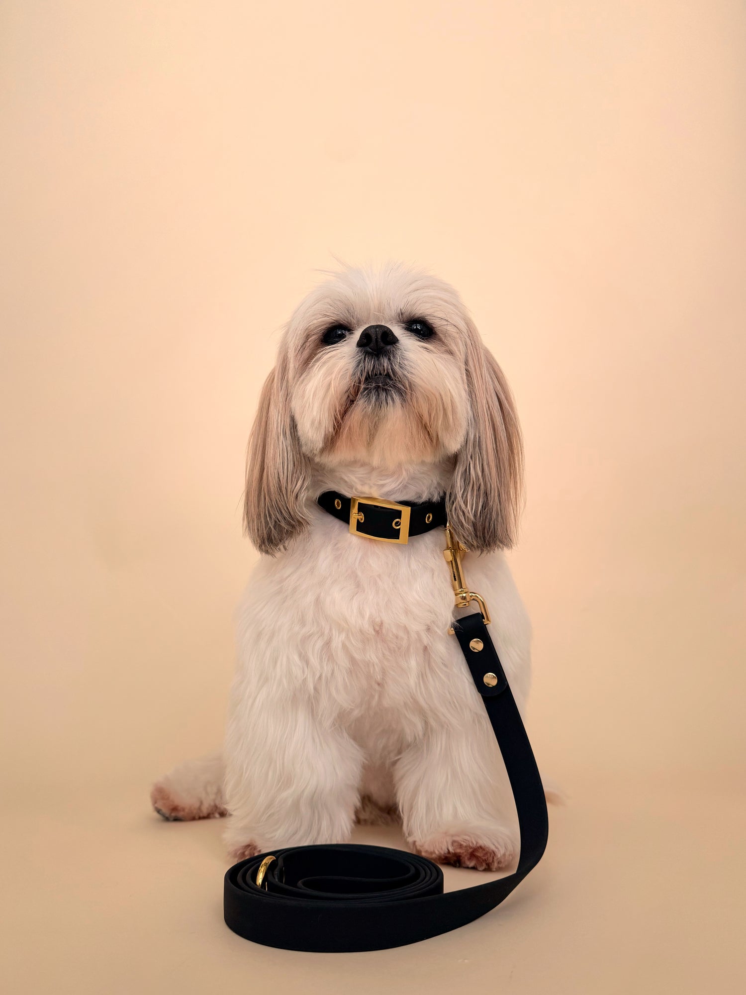 Midnight - Splashproof Dog Leash