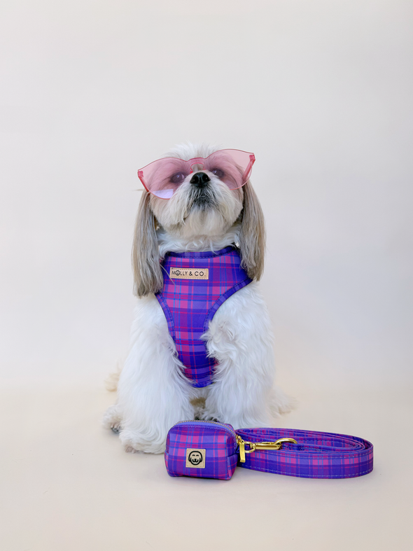 Pinkberry Plaid - Adjustable Dog Harness