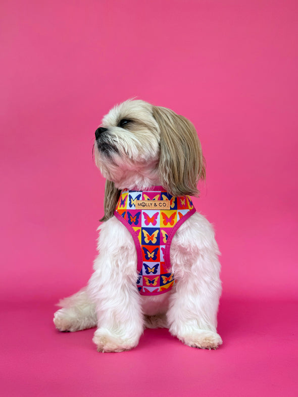 Mariposa - Reversible Dog Harness