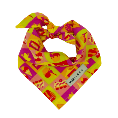 Pe Erre - Reversible Dog Bandana