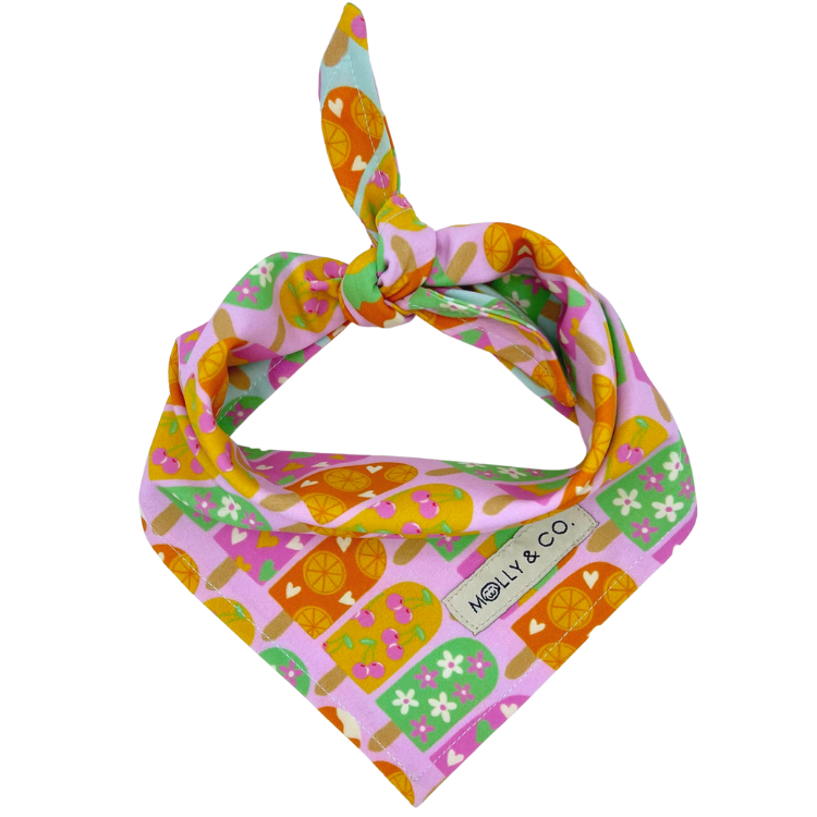 Ice Pop - Reversible Dog Bandana