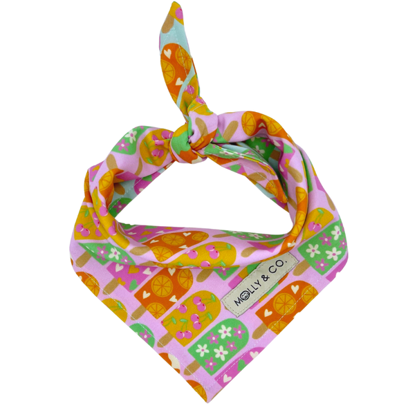 Ice Pop - Reversible Dog Bandana