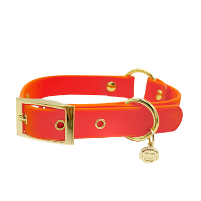 Sunburst - Splashproof Dog Collar