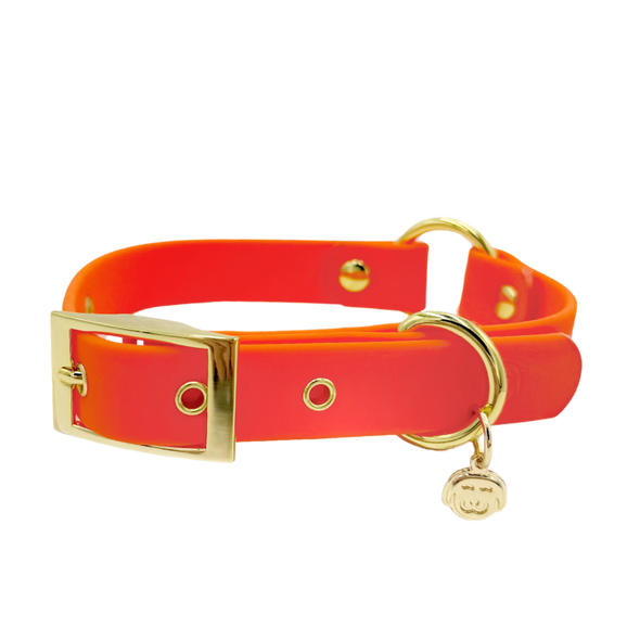 Sunburst - Splashproof Dog Collar