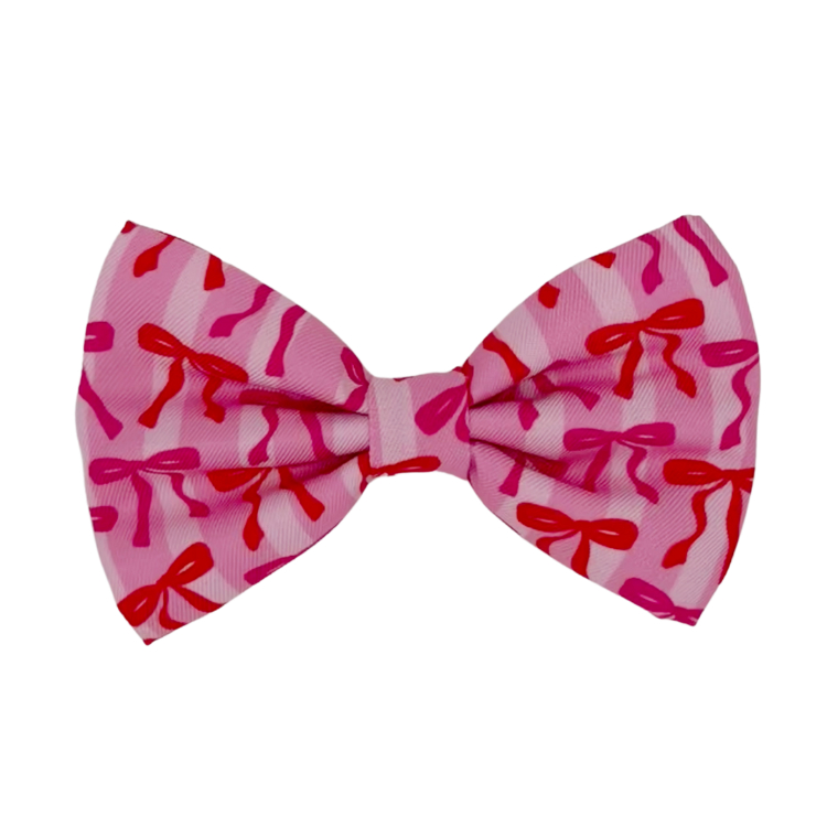 Coquette - Dog Bowtie