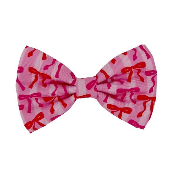 Coquette - Dog Bowtie