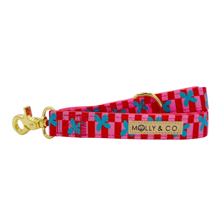 Supernova - Dog Leash