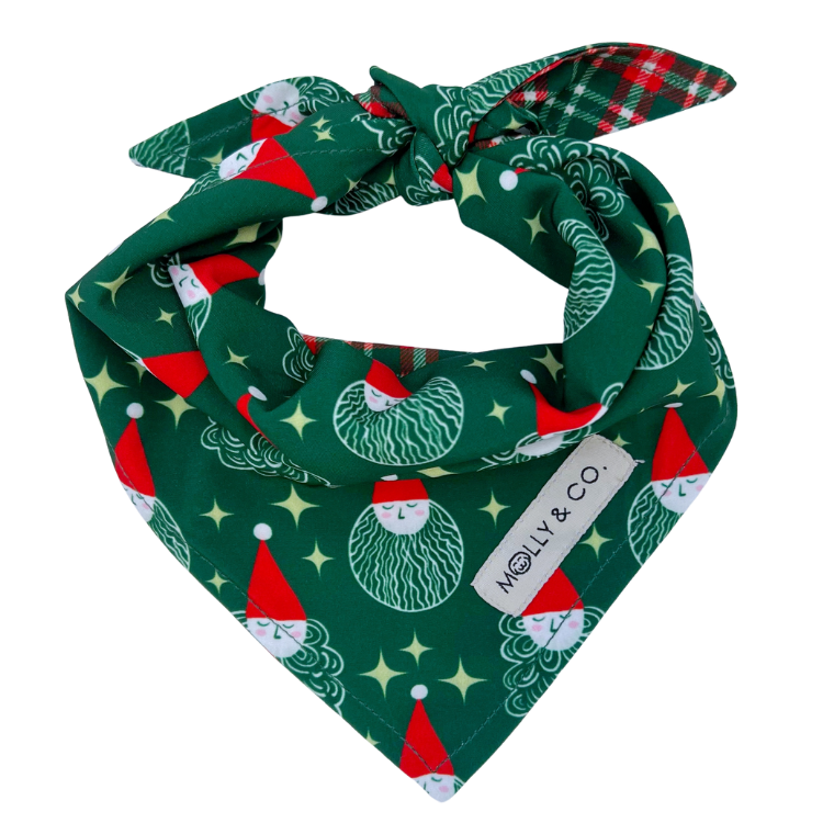 Santa + Royal Stewart Plaid - Reversible Dog Bandana