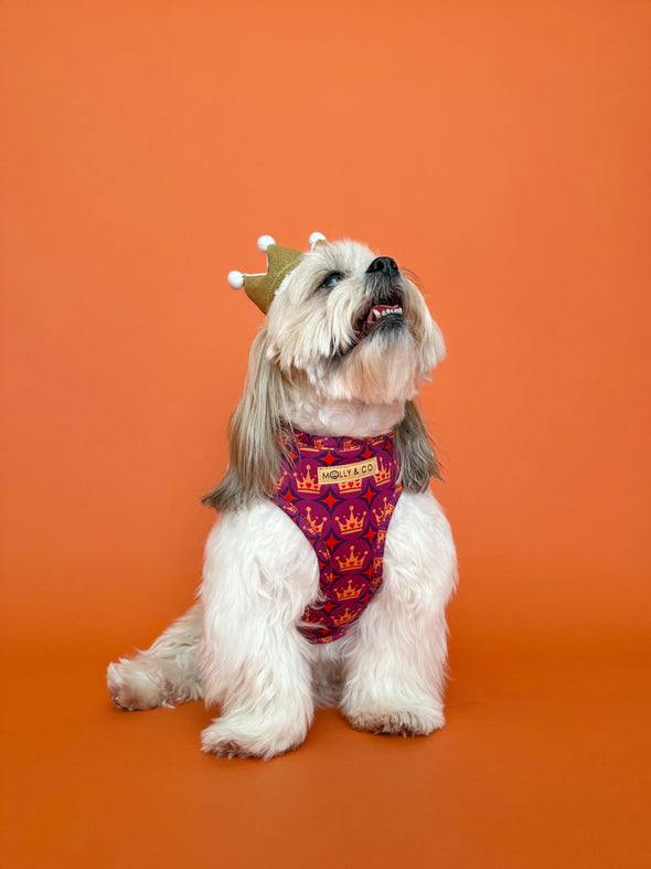 Royal Queen - Adjustable Dog Harness