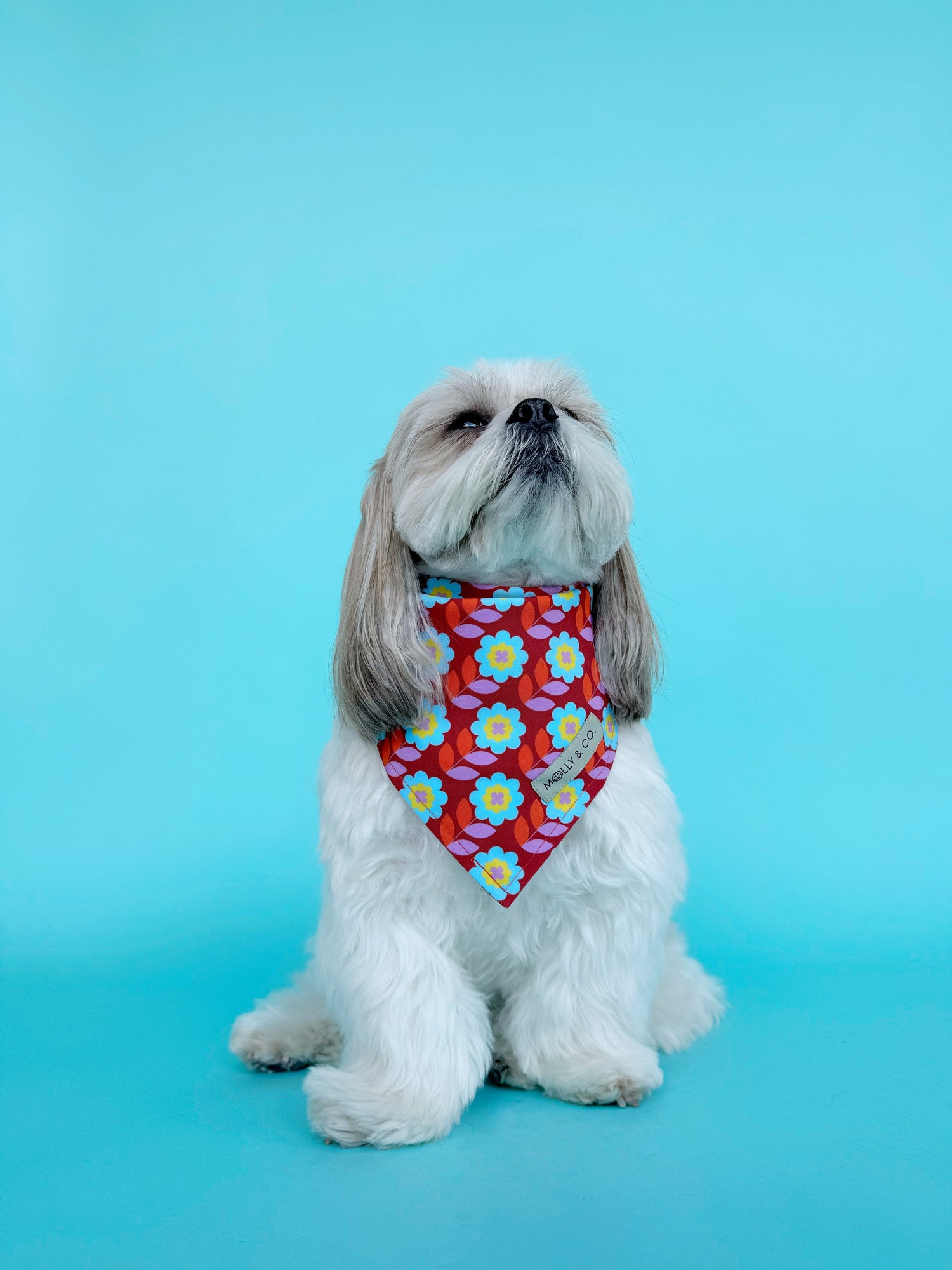 Poppy - Dog Bandana