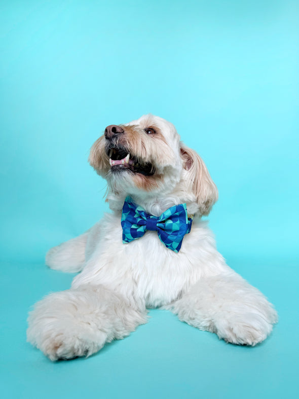 Milos - Dog Bowtie