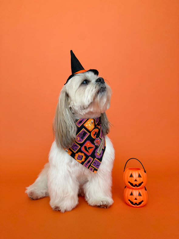 Stay Wicked - Reversible Dog Bandana