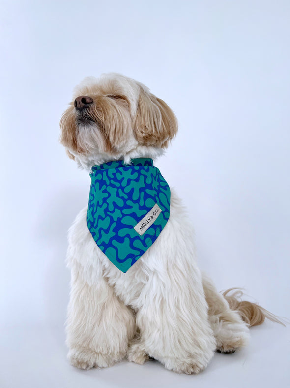 Neptune - Reversible Dog Bandana