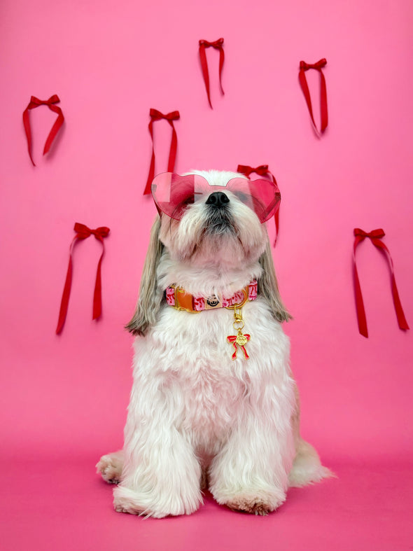 Coquette - Collar Charm
