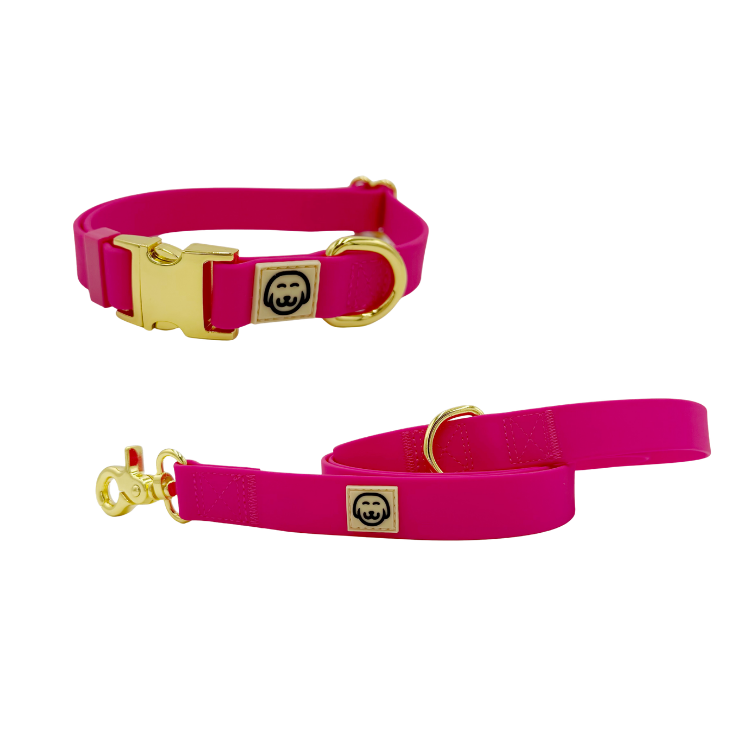 Fuchsia- Splashproof Bundle