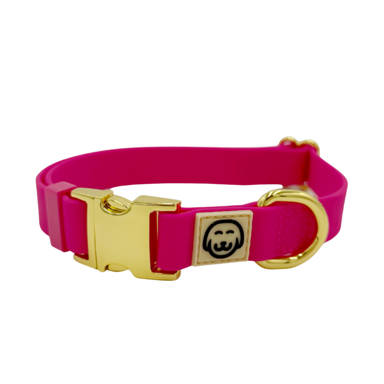 Fuchsia - Adjustable Splashproof Dog Collar