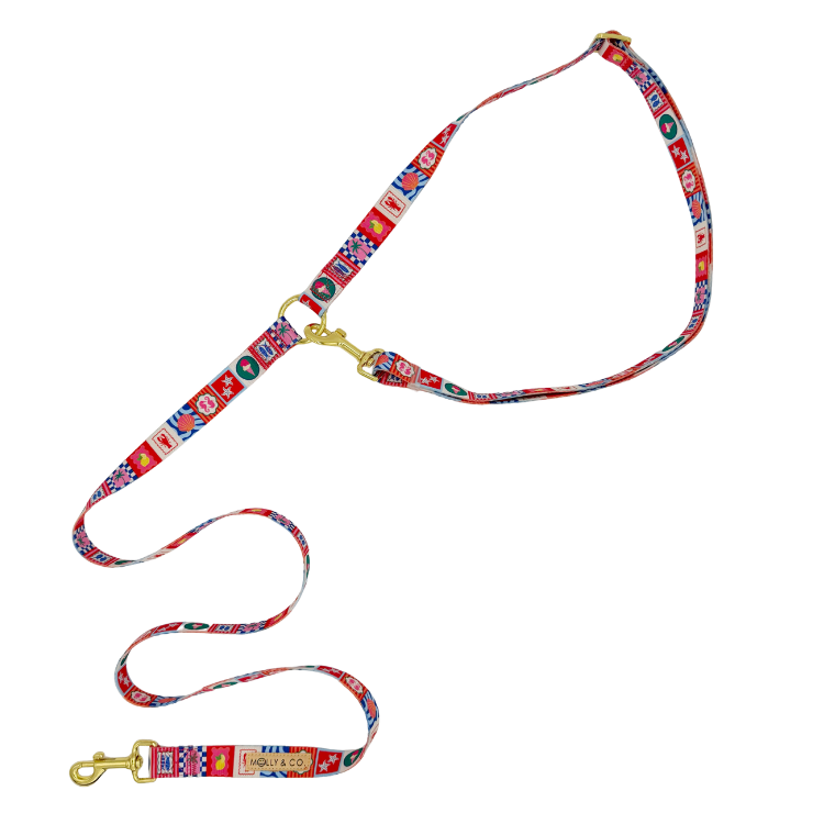 Amalfi - Handsfree Dog Leash