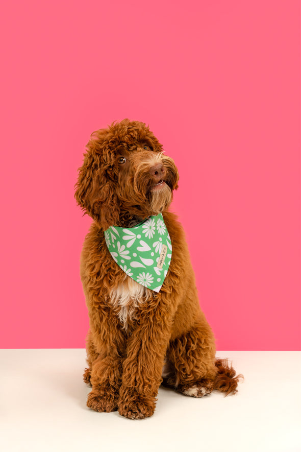 Petals - Reversible Dog Bandana - FINAL SALE