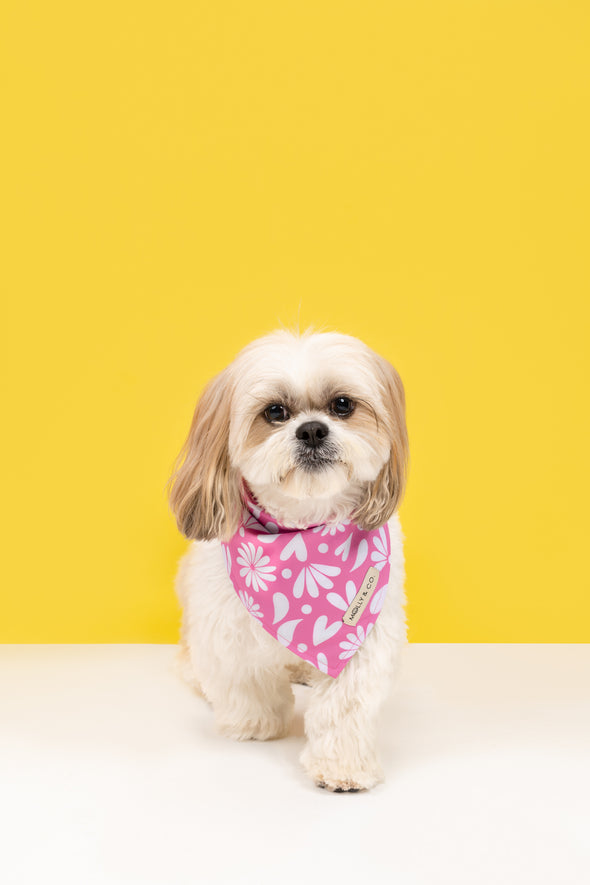 Petals - Reversible Dog Bandana - FINAL SALE