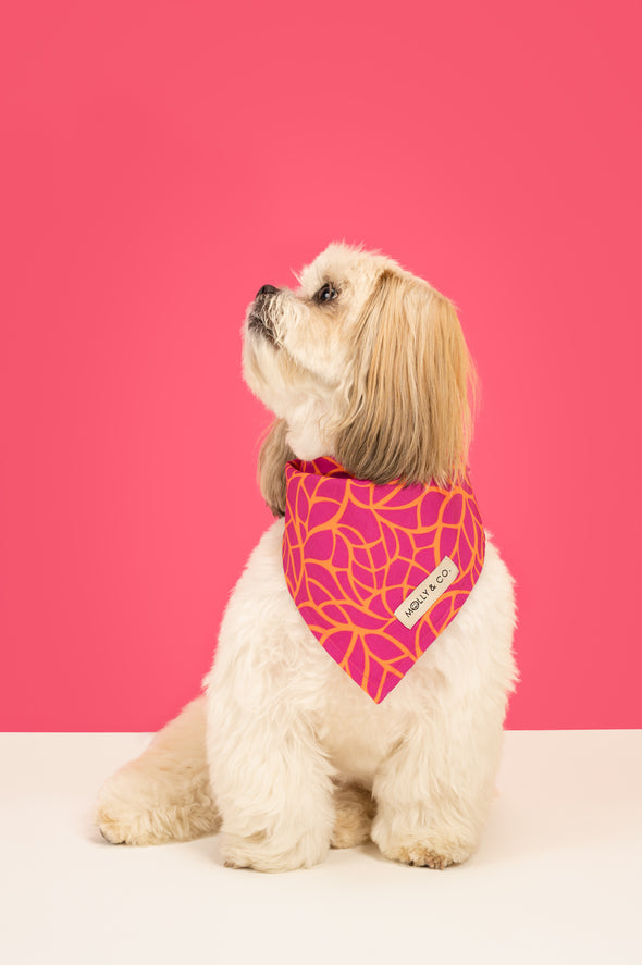 Magenta Leaves - Reversible Dog Bandana