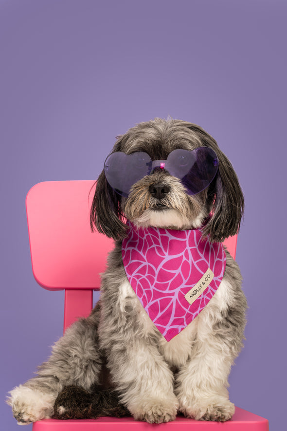 Magenta Leaves - Reversible Dog Bandana