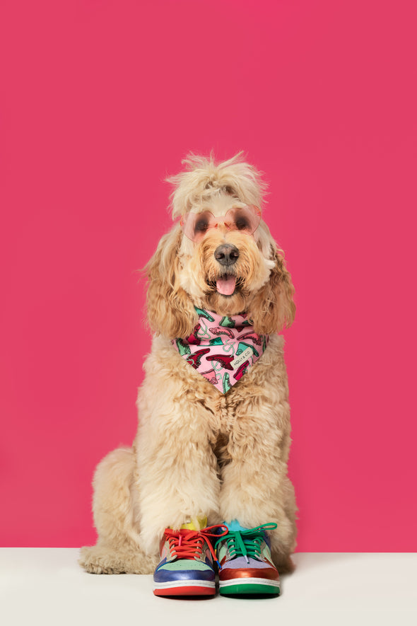 Molly Kicks - Reversible Dog Bandana - FINAL SALE