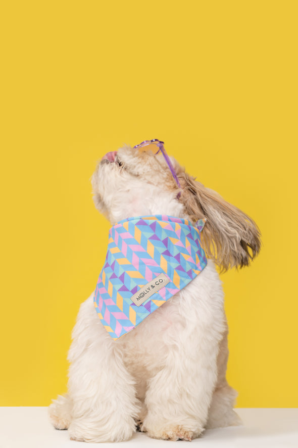 Aurora - Reversible Dog Bandana - FINAL SALE