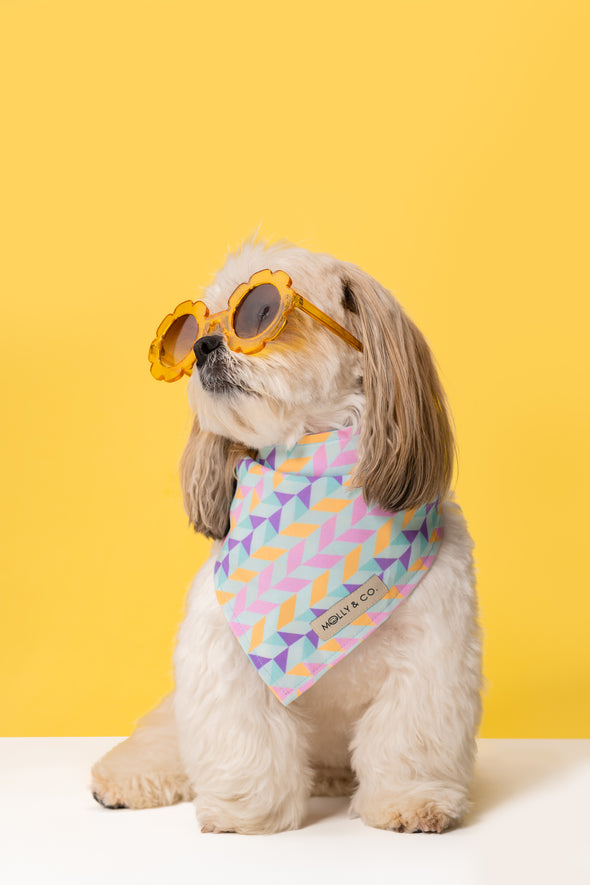 Aurora - Reversible Dog Bandana - FINAL SALE