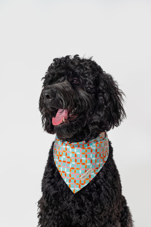 Santorini - Dog Bandana - FINAL SALE