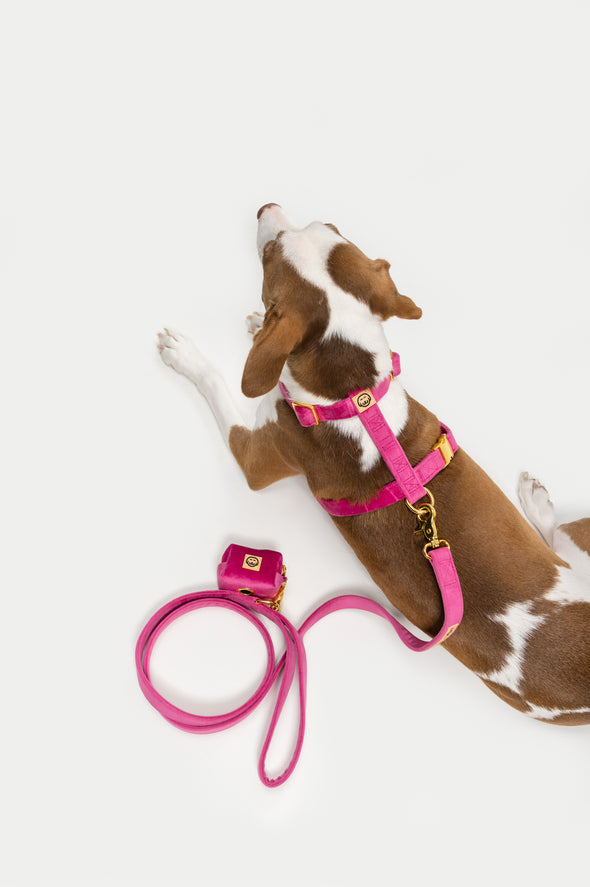 Rose Velvet - Adjustable Strap Dog Harness