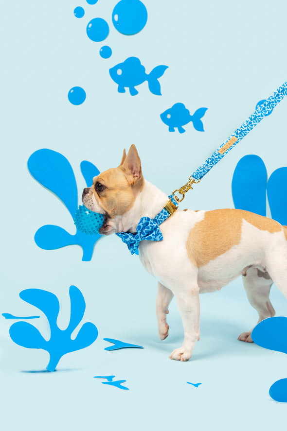 Blue Marina - Dog Leash - FINAL SALE