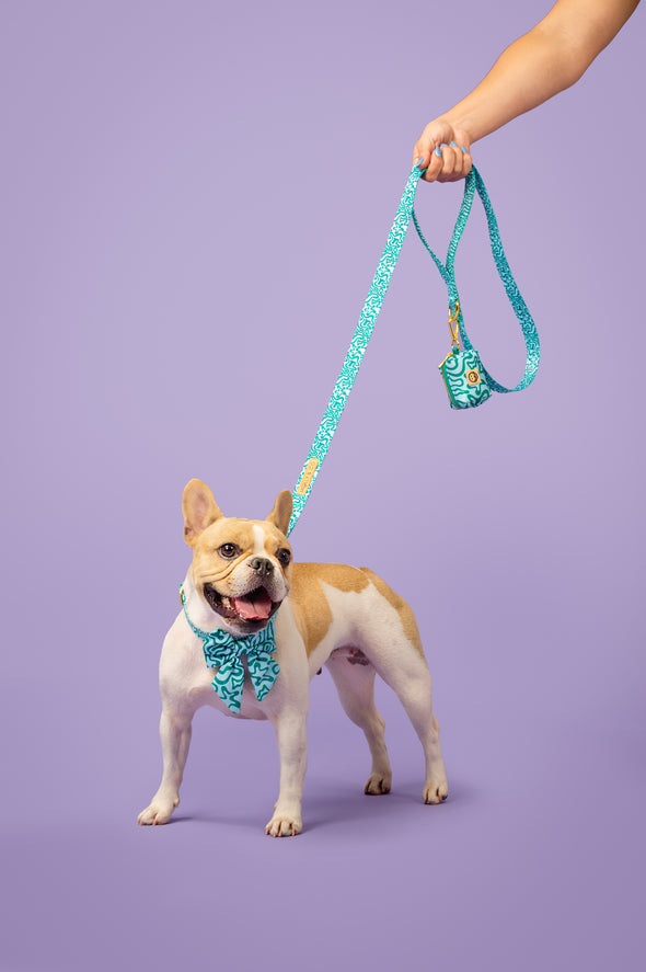 Seaweed - Dog Leash - FINAL SALE