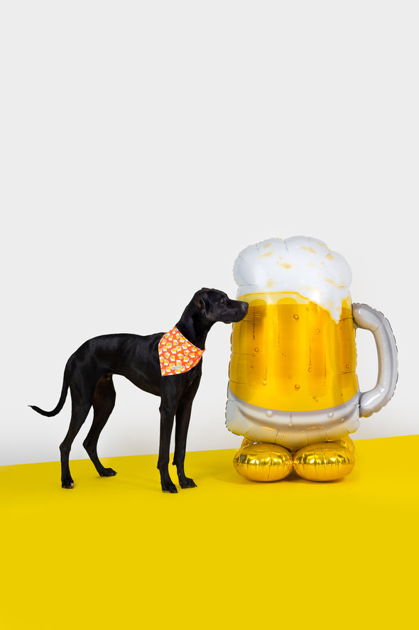 Beers - Reversible Dog Bandana