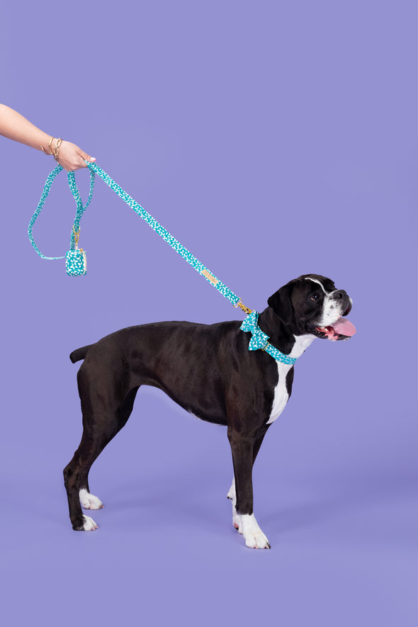 Seafoam - Dog Leash - FINAL SALE