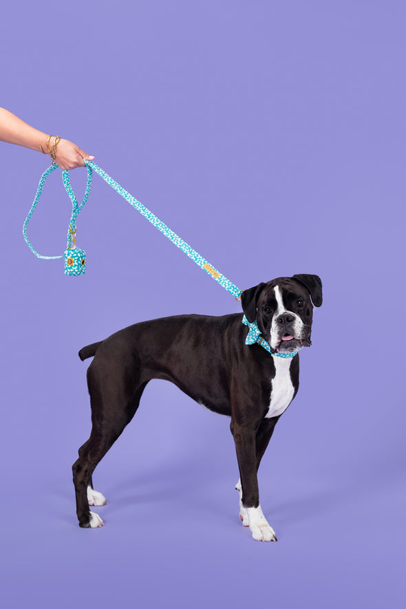 Seafoam - Dog Leash - FINAL SALE