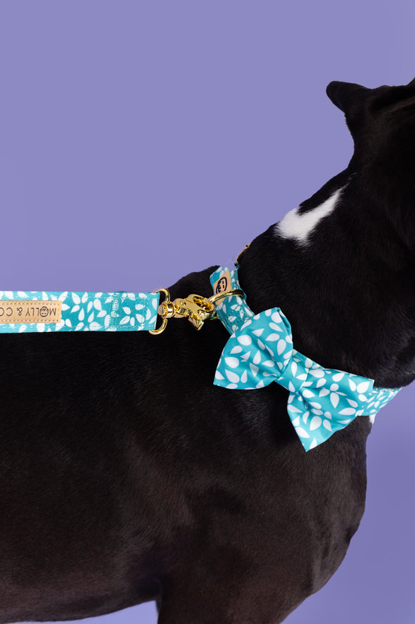 Seafoam - Dog Bowtie - FINAL SALE