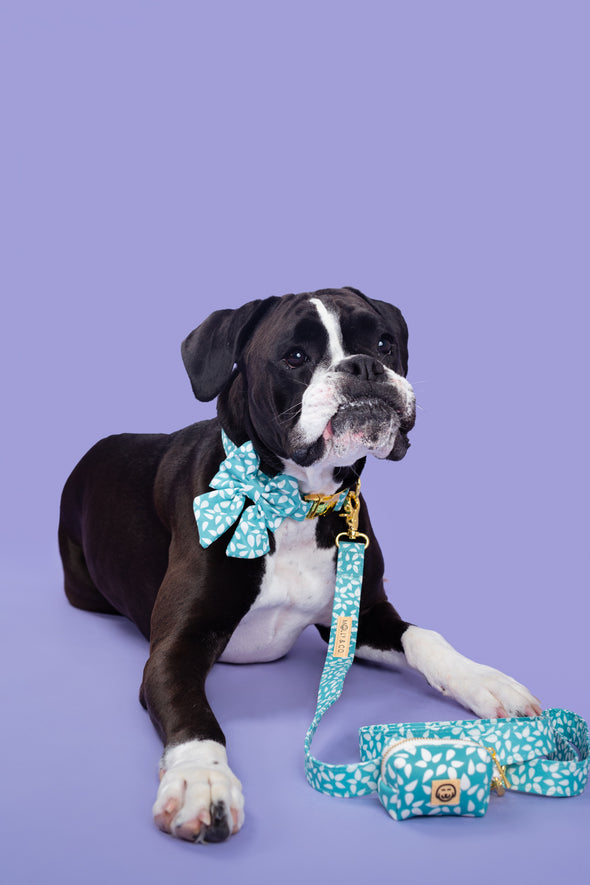 Seafoam - Dog Sailor Bowtie - FINAL SALE