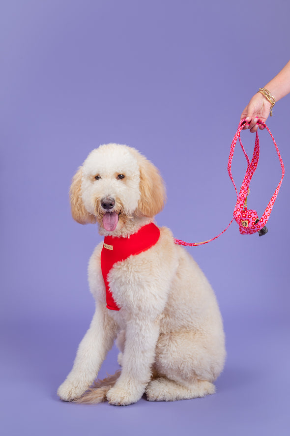 Wildflower - Dog Leash