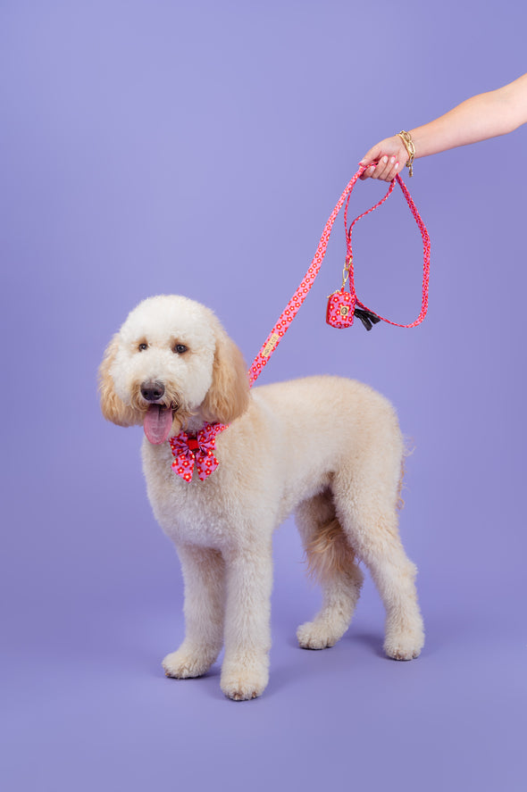 Wildflower - Dog Leash