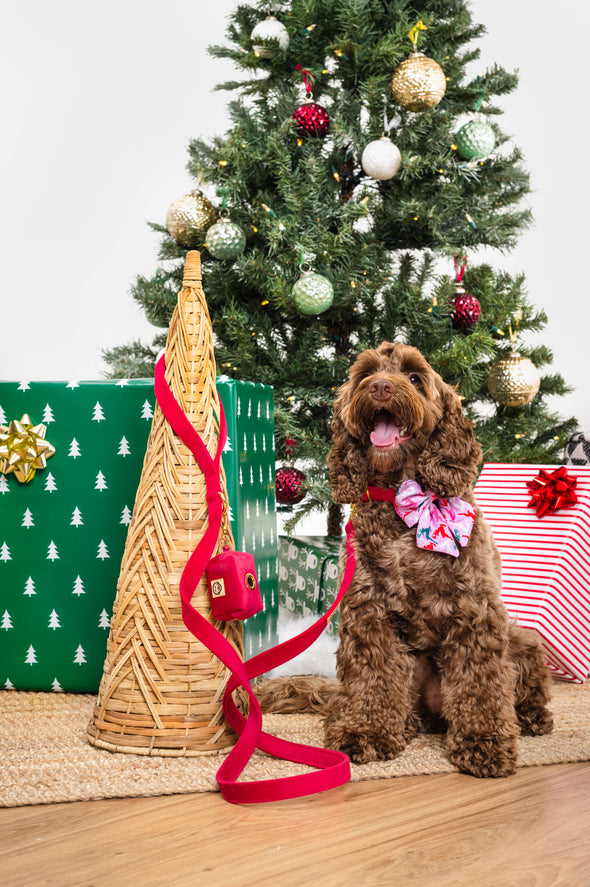 Reindeers - Dog Sailor Bowtie