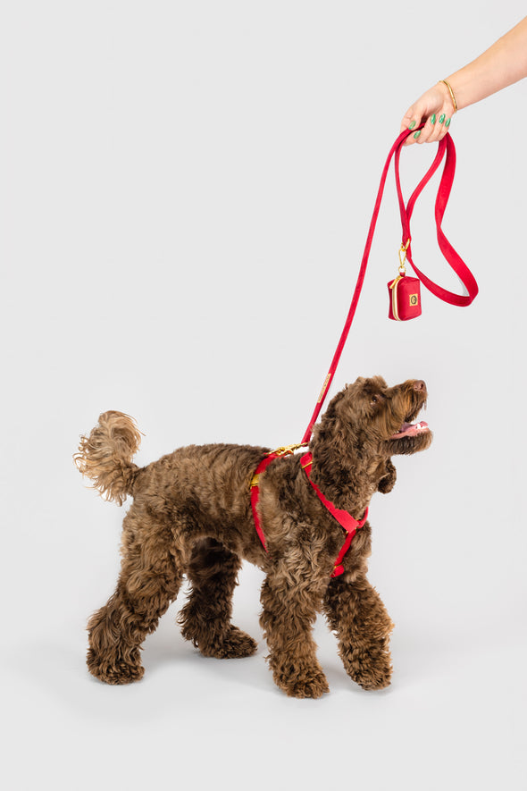 Scarlet Velvet - Adjustable Strap Dog Harness