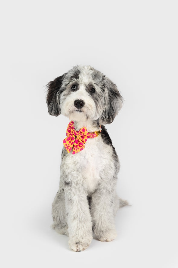 Sunny Vibes - Dog Sailor Bowtie