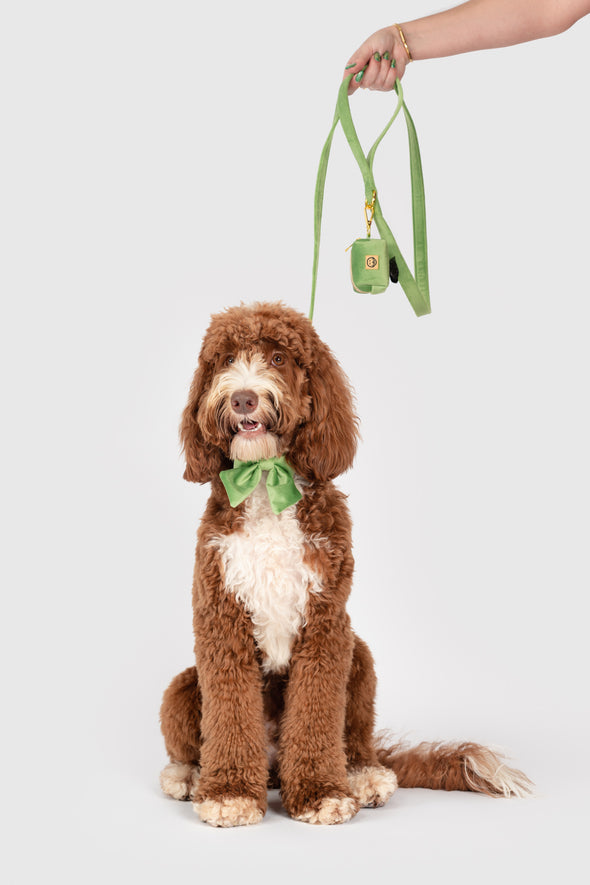 Fern Velvet - Dog Sailor Bowtie