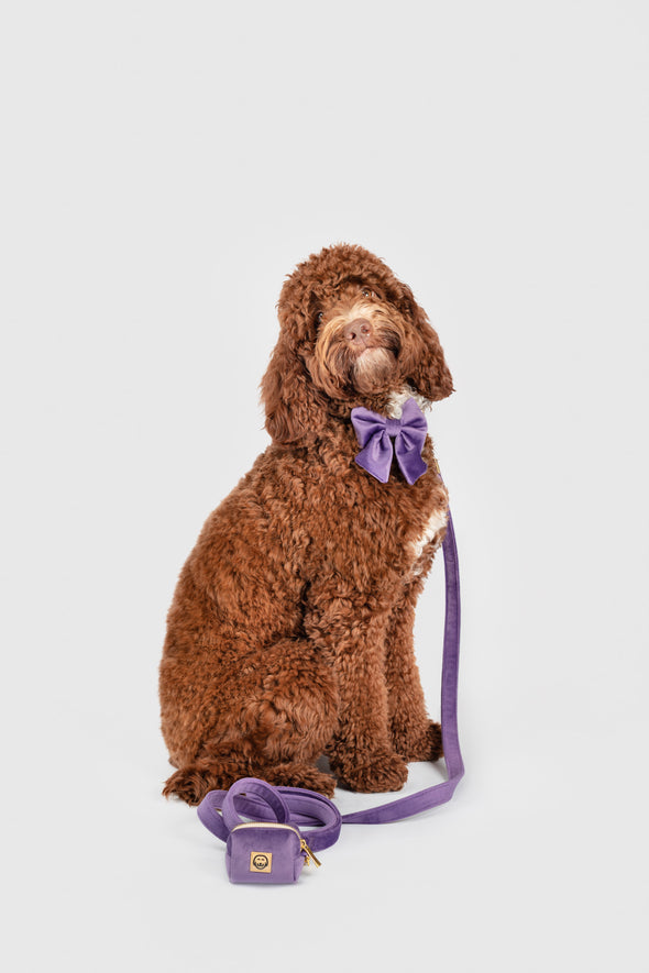 Violet Velvet - Dog Sailor Bowtie