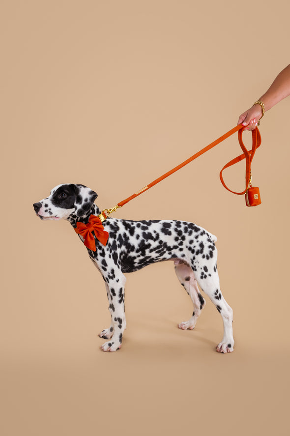 Tangerine Velvet - Dog Poop Bag Holder