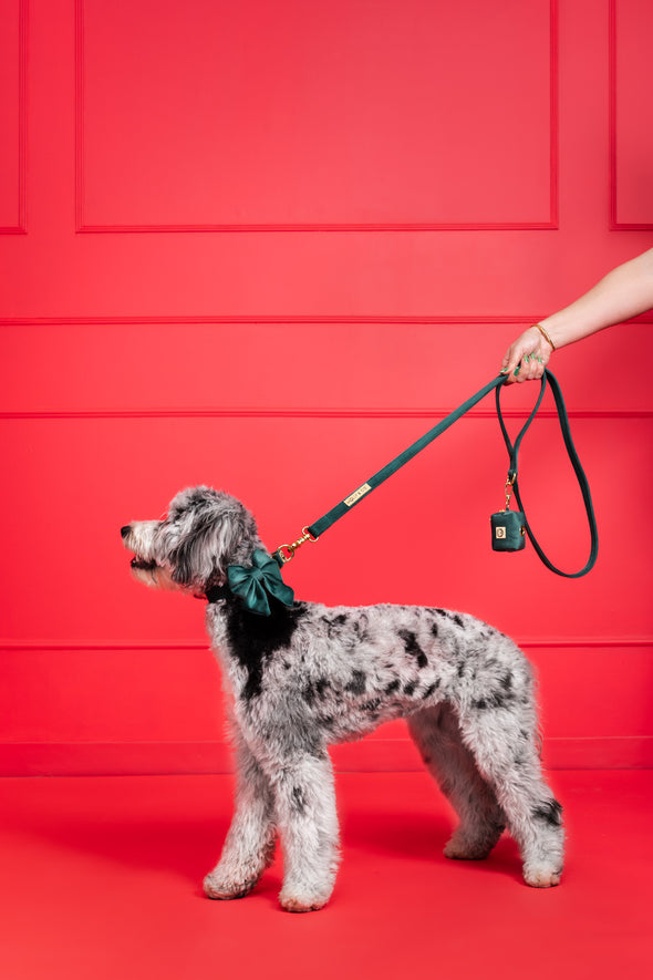 Emerald Velvet - Dog Leash