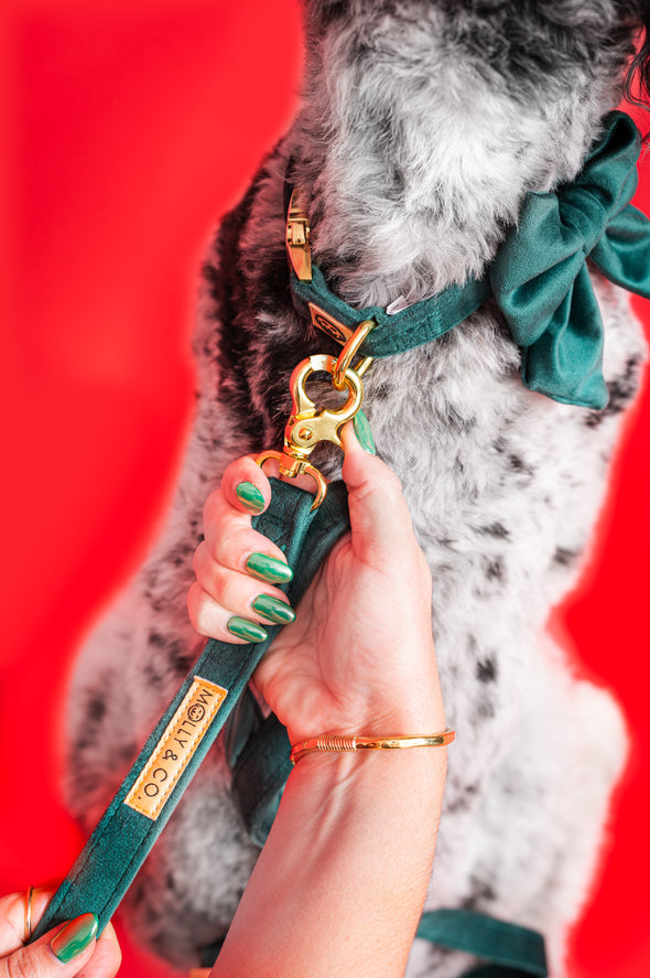 Emerald Velvet - Dog Leash