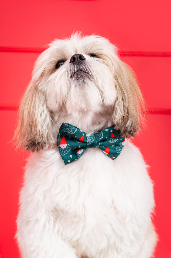 Santa - Dog Bowtie