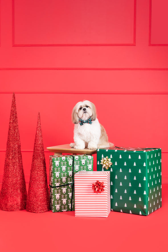 Santa - Dog Bowtie