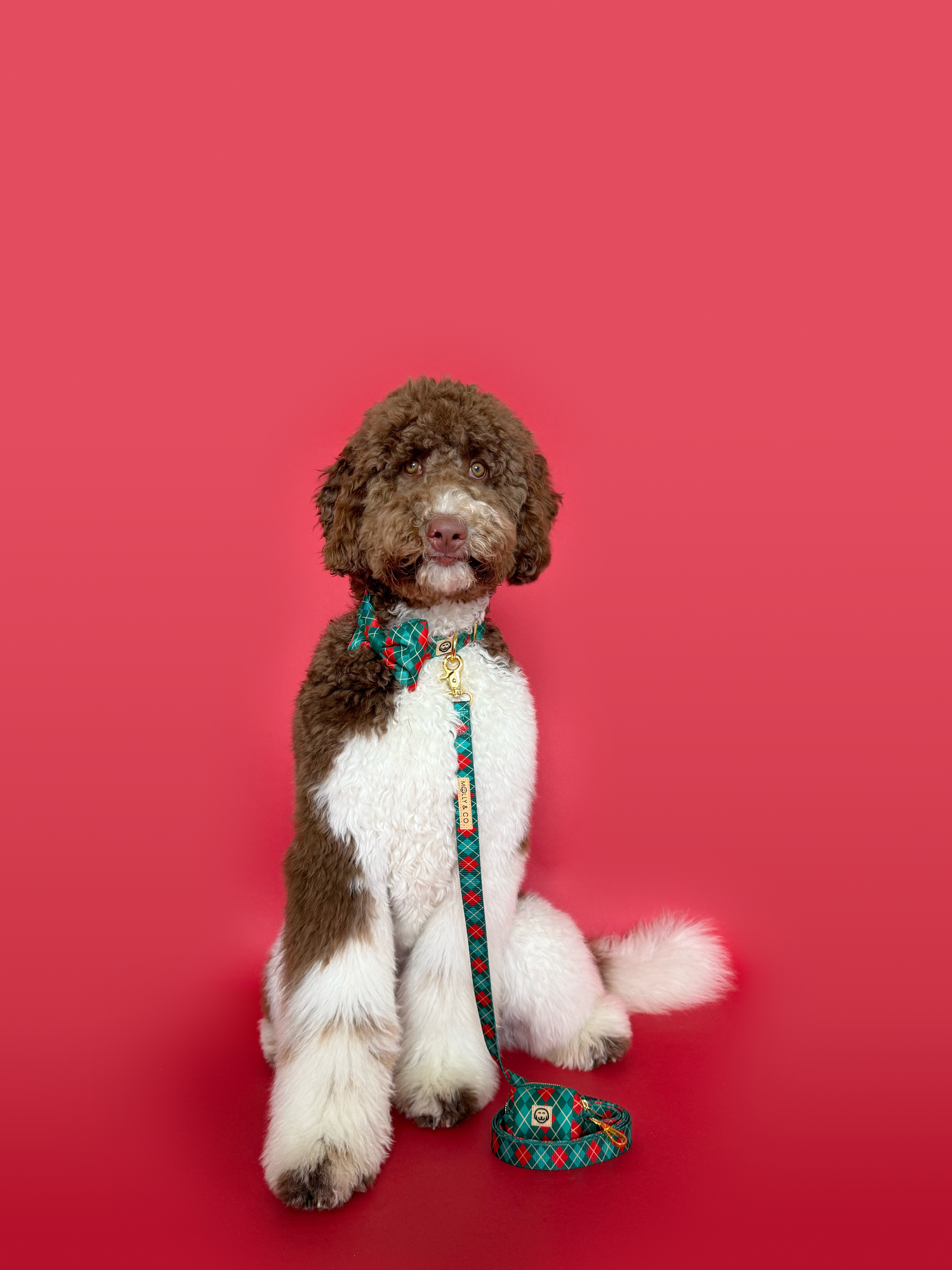 Evergreen Argyle - Dog Poop Bag Holder